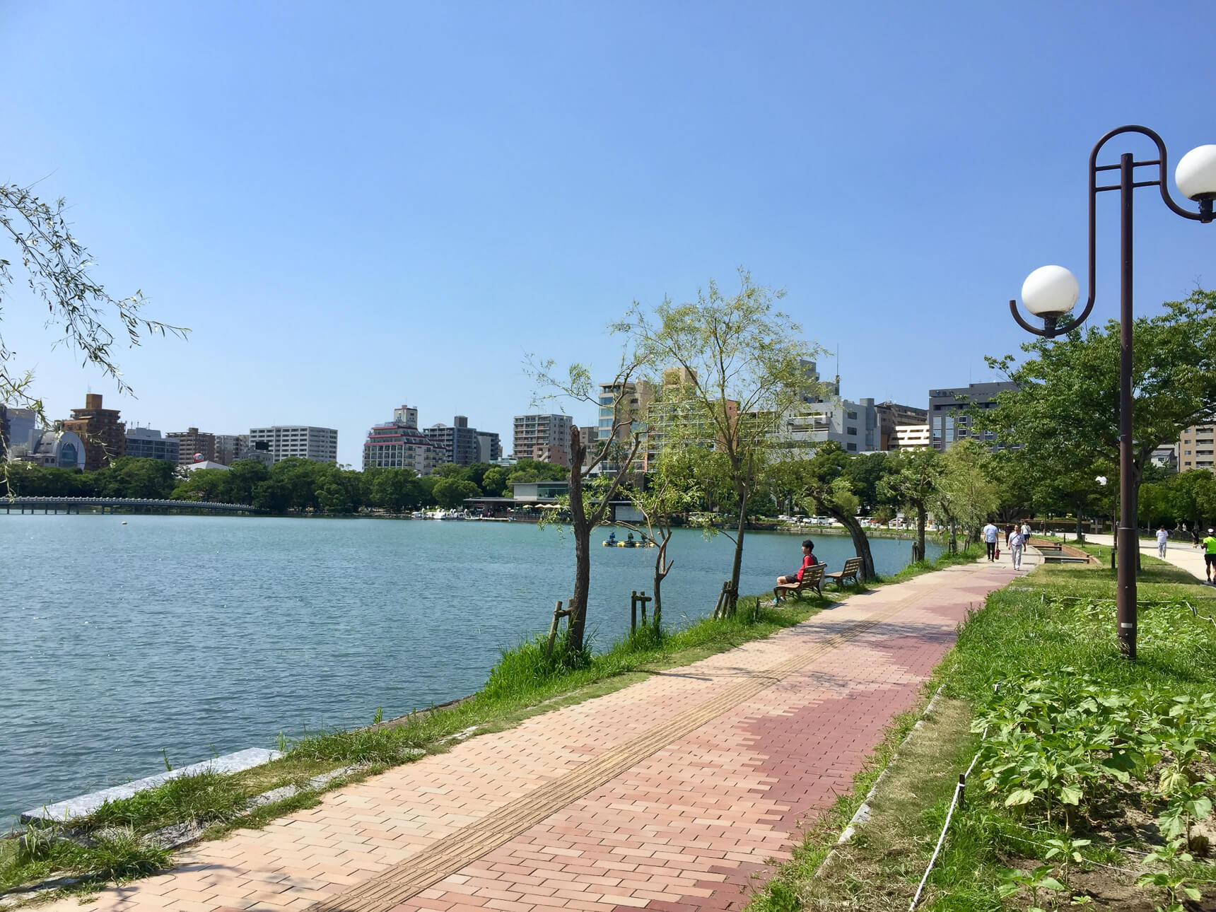 朝の散歩で見つけた、福岡・大濠あたりの“ちょっといい暮らし”